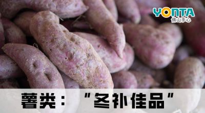 冬天多吃“根”，强健又补身